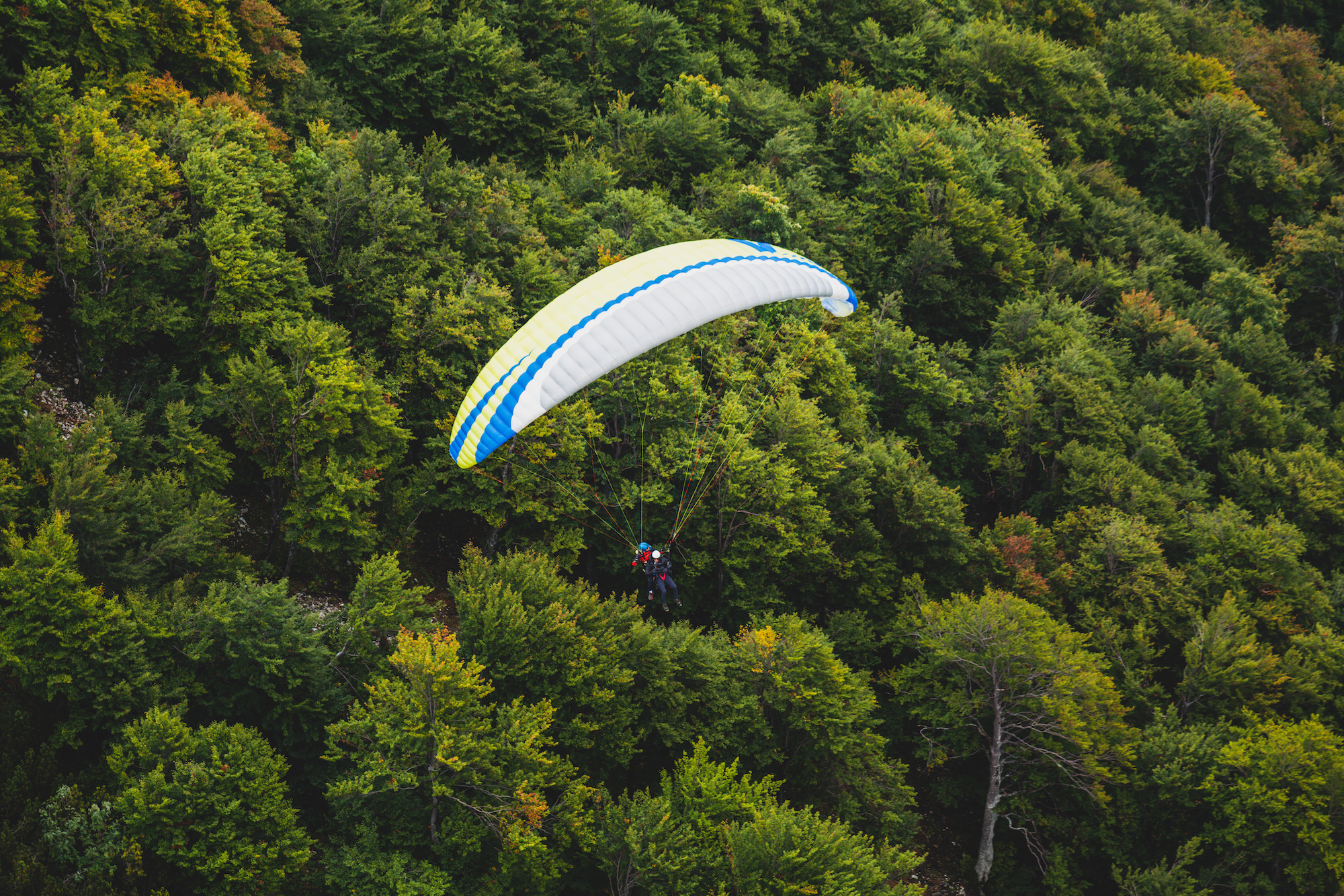 F015408_0029_paragliding_tandem_bohinj_lake_vogel_tent_film_photo_l